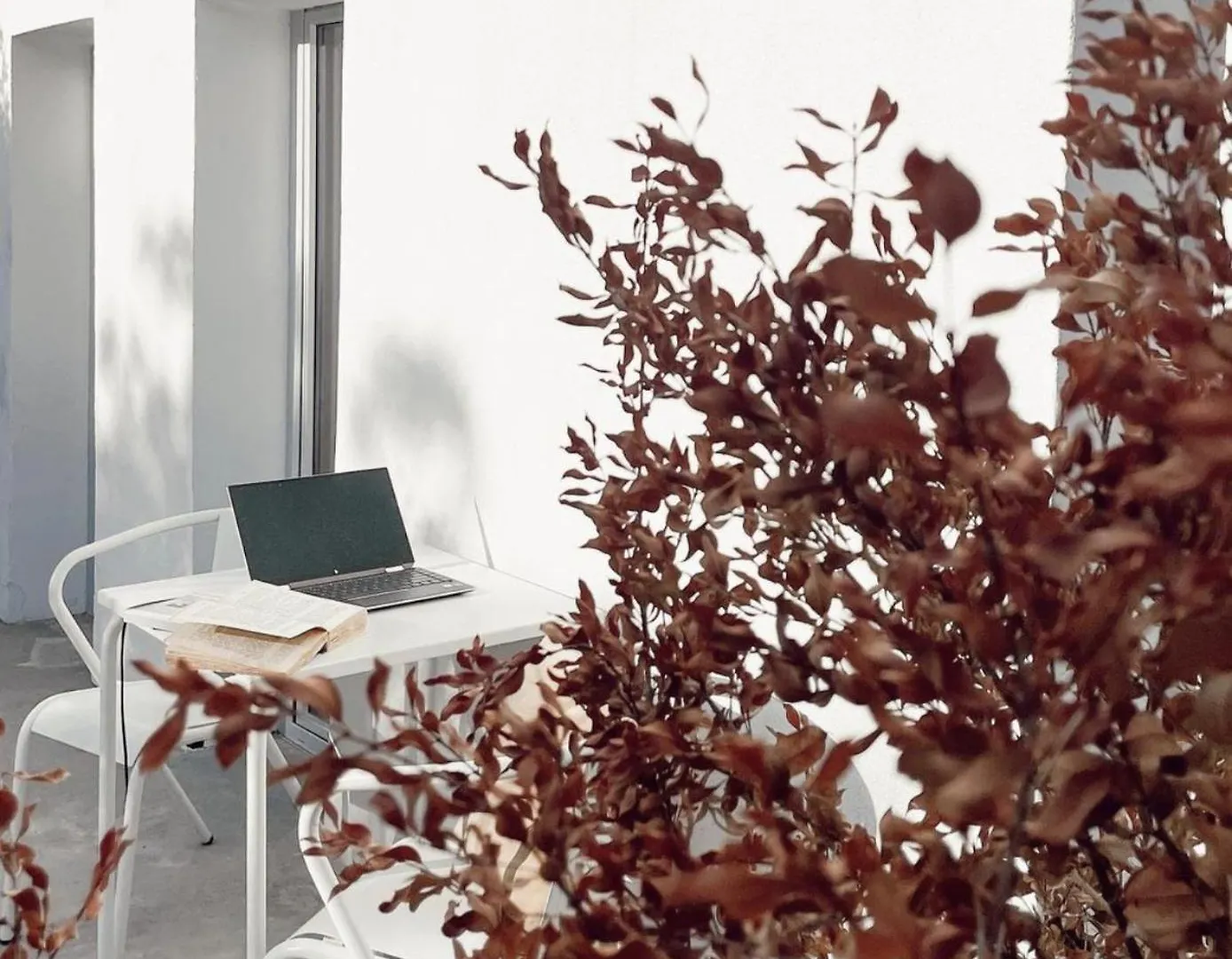 Apartamento Cozy Lisbon Graca 0*,