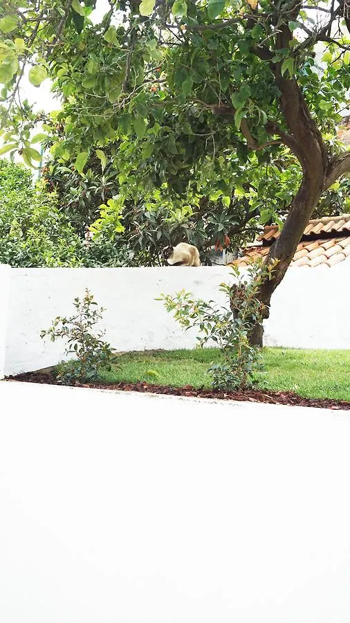Apartamento Cozy Lisbon Graca