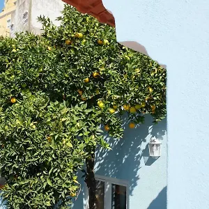 Proa D'alfama Lizbona